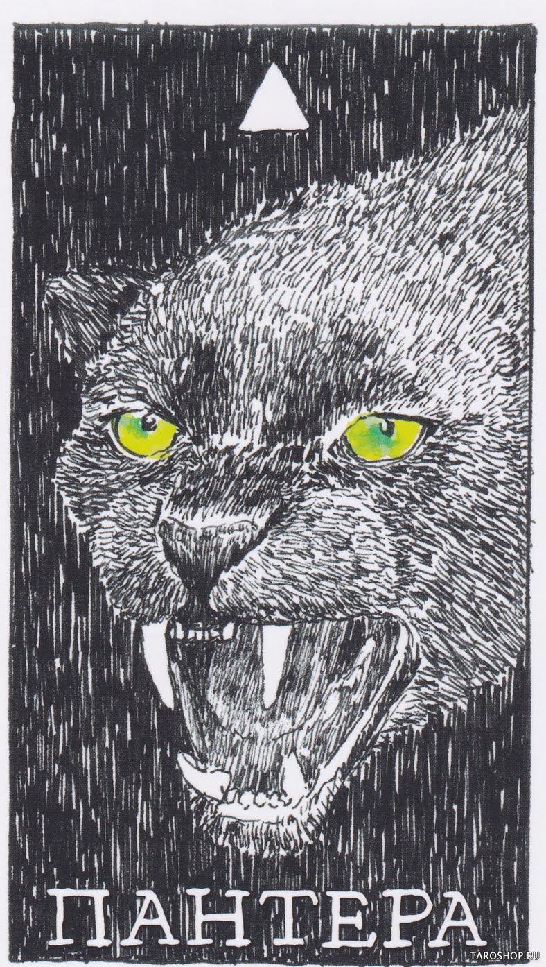 The Wild Unknown Animal Spirit (Дикое Неизвестное тотемное животное)